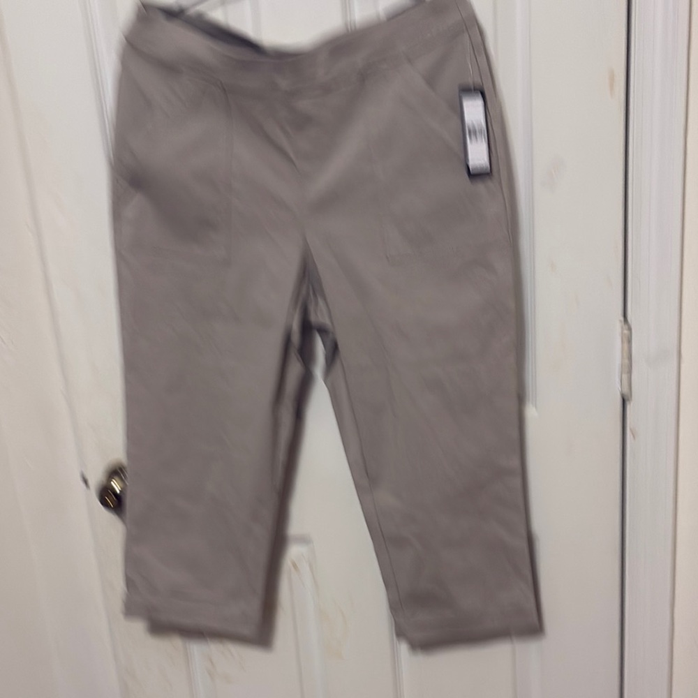 SOHO Cropped Stretch Pants in Taupe 
Sz 1X